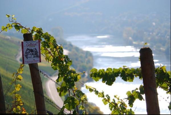 Wein- Und Gaestehaus Genetsch Lieser Extérieur photo