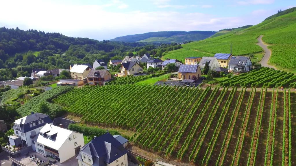Wein- Und Gaestehaus Genetsch Lieser Extérieur photo