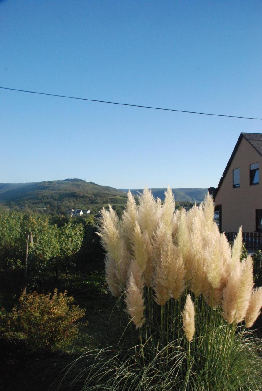 Wein- Und Gaestehaus Genetsch Lieser Extérieur photo