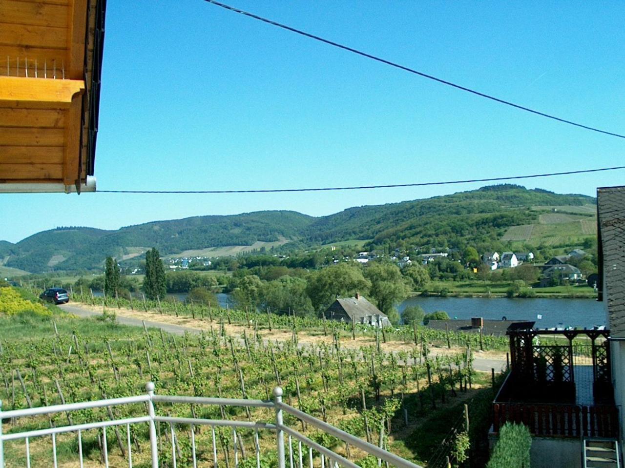 Wein- Und Gaestehaus Genetsch Lieser Extérieur photo