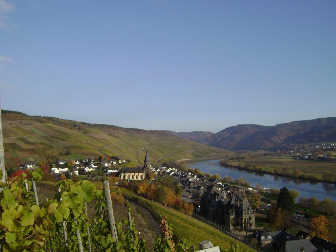 Wein- Und Gaestehaus Genetsch Lieser Extérieur photo