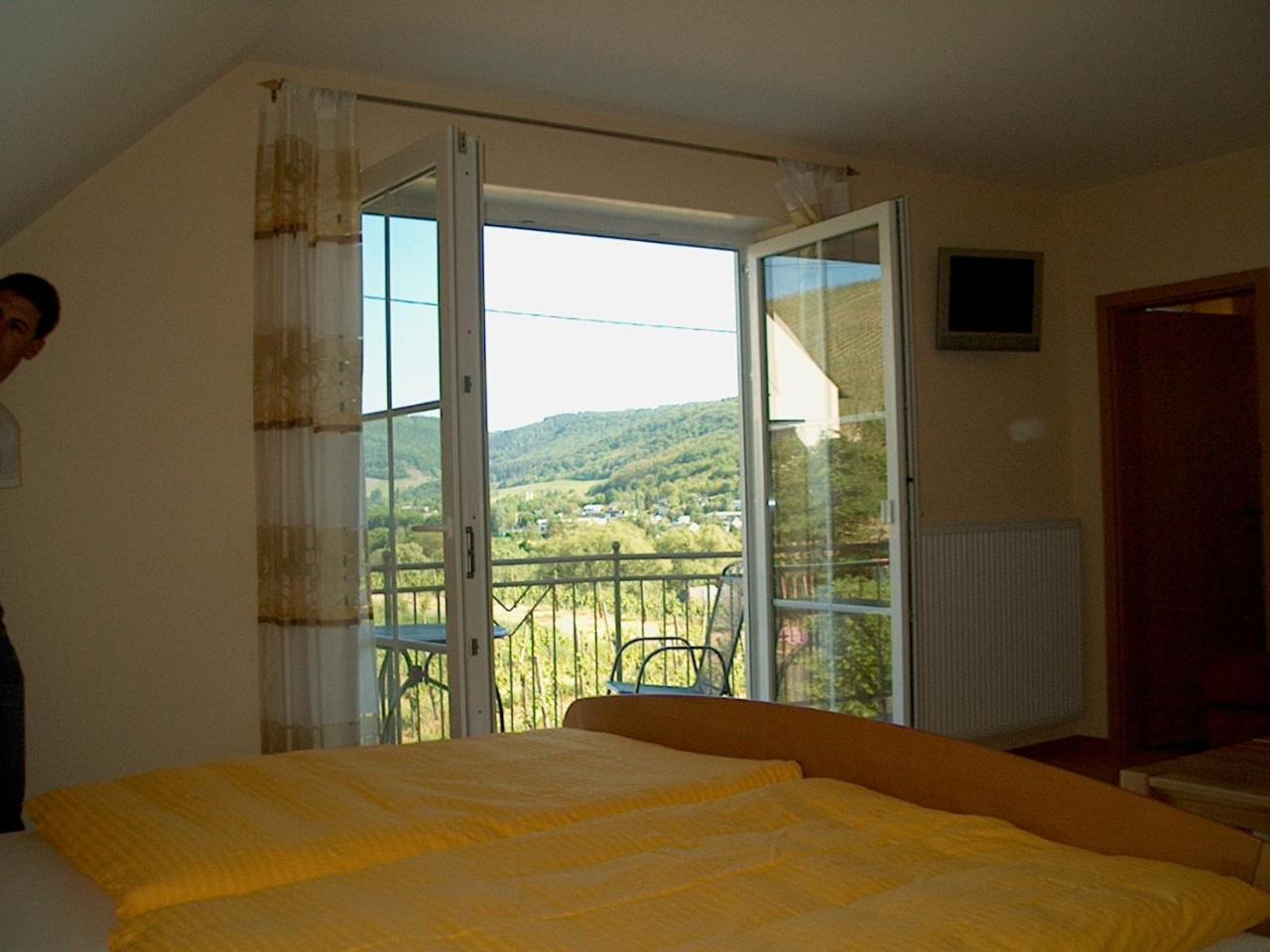 Wein- Und Gaestehaus Genetsch Lieser Extérieur photo