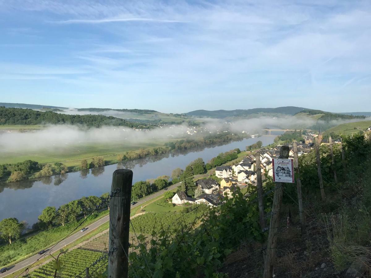 Wein- Und Gaestehaus Genetsch Lieser Extérieur photo